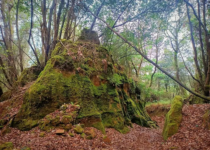 La Buganvilla דירה נובאלס