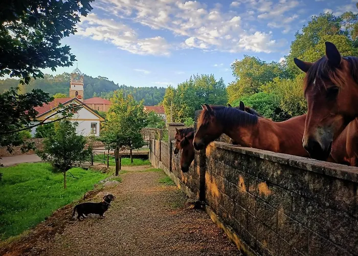 La Buganvilla Apartment