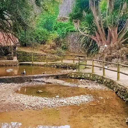 Apartman La Buganvilla *