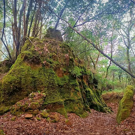 La Buganvilla Apartman Novales
