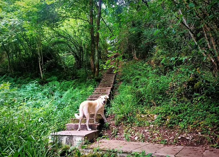 La Buganvilla Appartement Novales